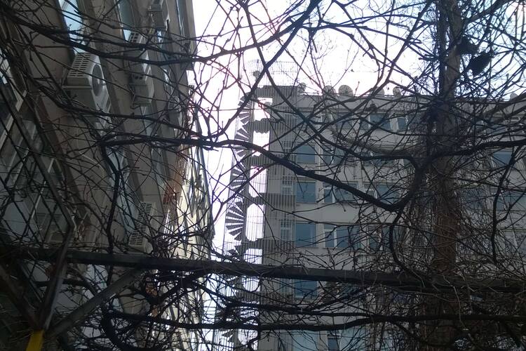 Yonca Restaurant Mecidiyekoy Merkez Istanbul